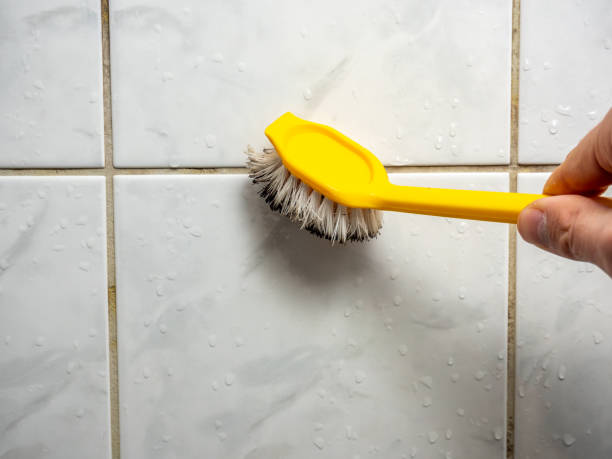 Best Mold Remediation  in Roaring Spring, PA